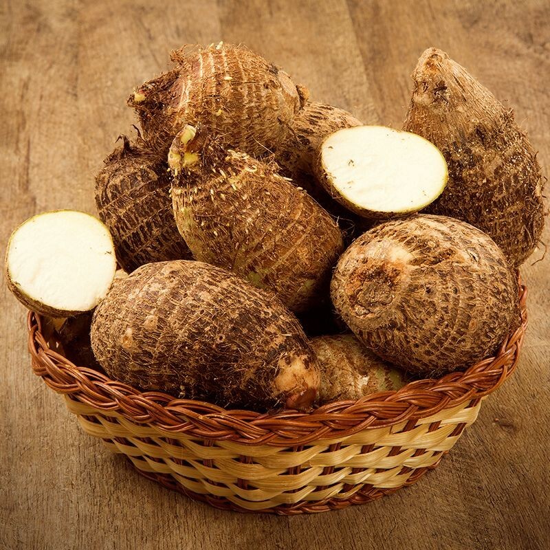 Elephant Yam