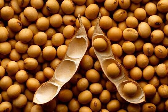 Millets